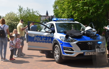 AMN_0493_1
