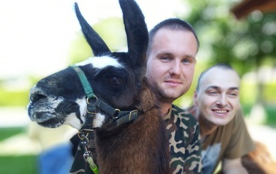 Zdjęcie do Alpaki w ŚDS!