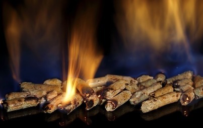 Zdjęcie do Dodatek dla gospodarstw domowych &ndash; PELET DRZEWNY, DREWNO KAWAŁKOWE, INNY RODZAJ BIOMASY, GAZ SKROPLONY LPG, OLEJ OPAŁOWY.