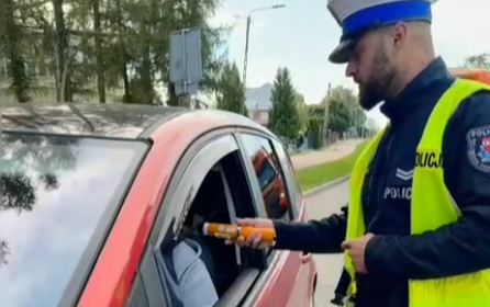 piłeś?