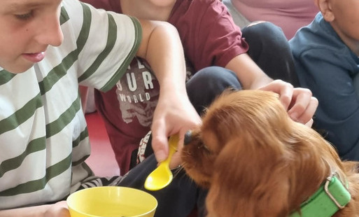 dogoterapia